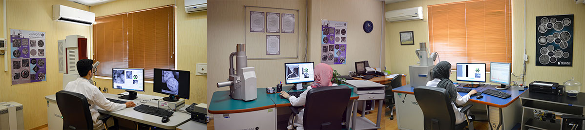 آزمایشگاه میکروسکپ الکترونی (SEM, FESEM)