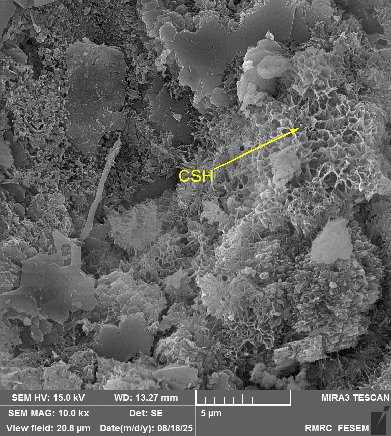 Concrete Structure 1