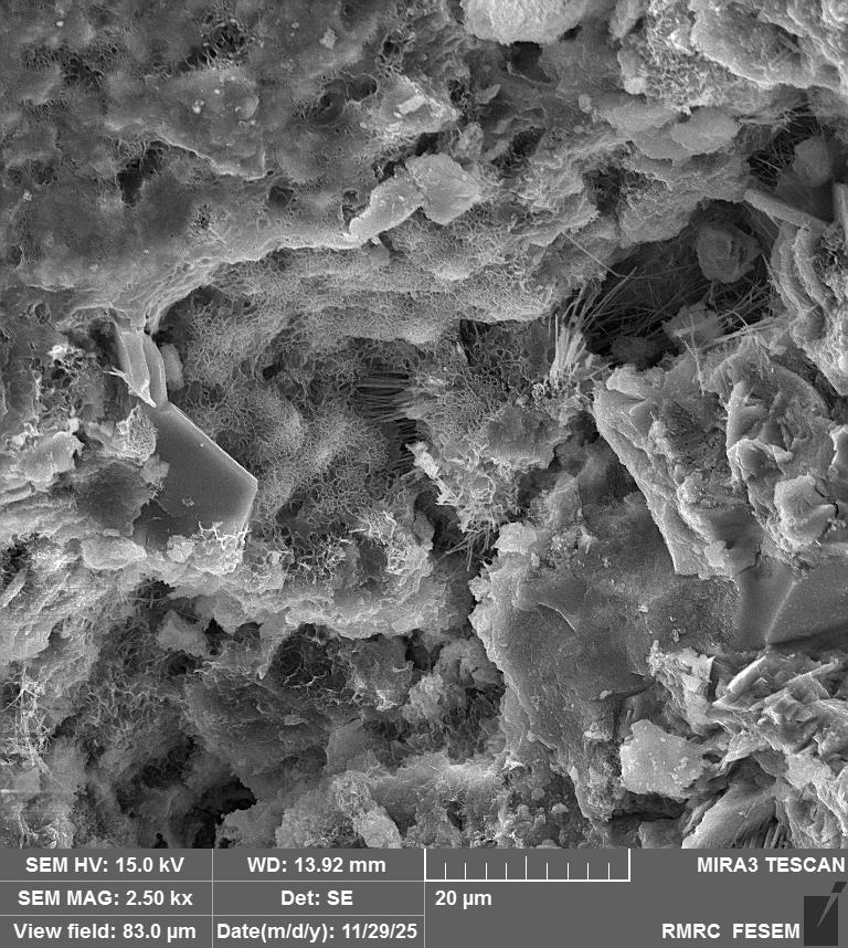 Concrete Structure 3