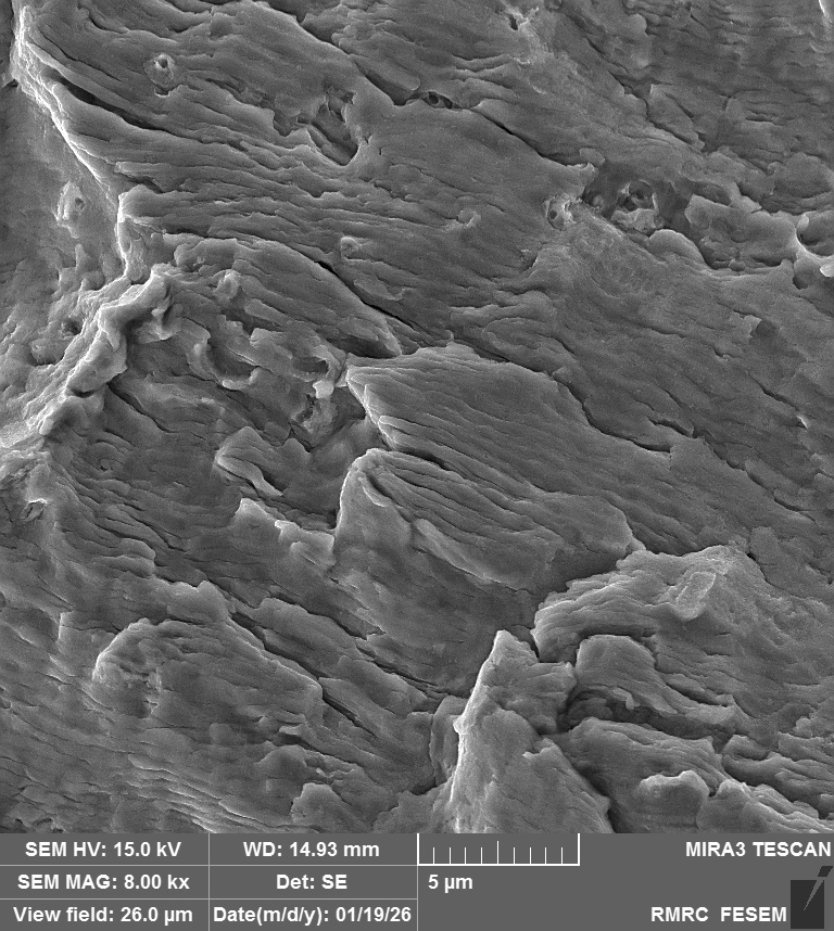 Steel Fracture Surface 4