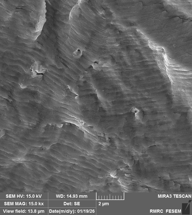 Steel Fracture Surface 6