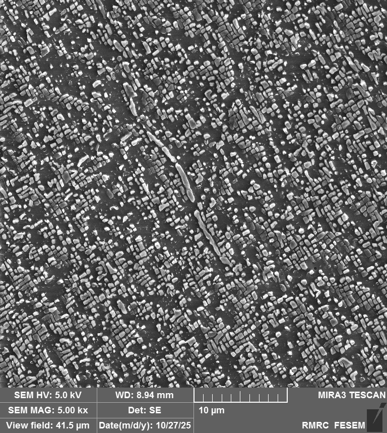 Superalloy Replica 1