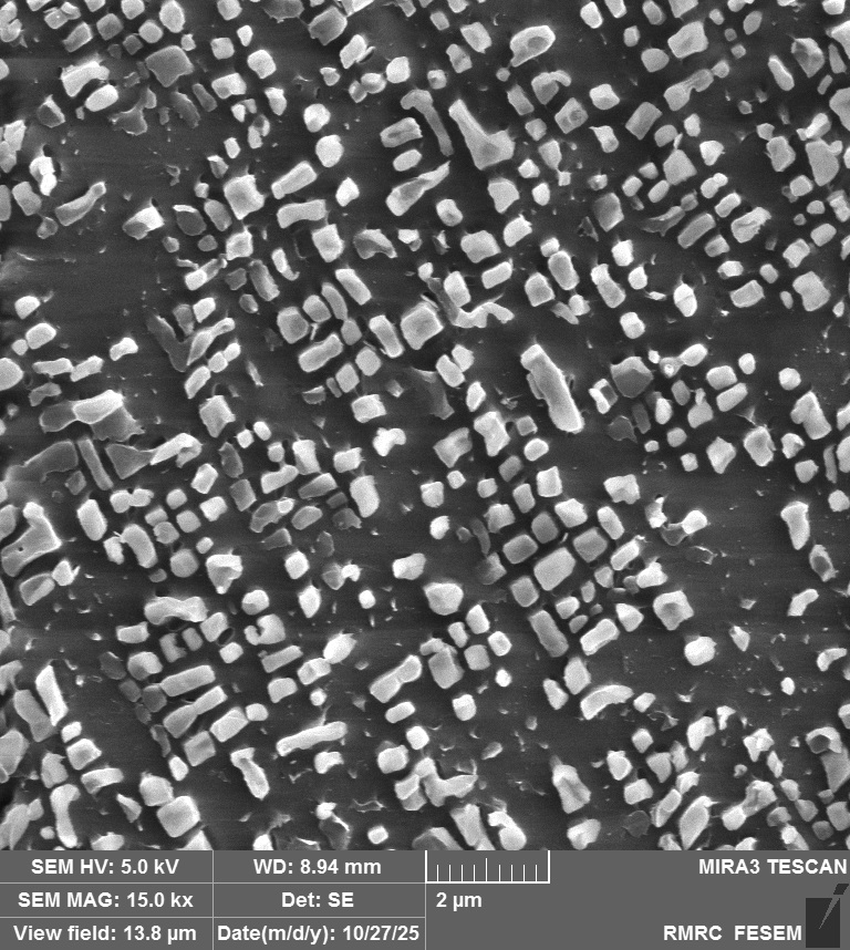 Superalloy Replica 2