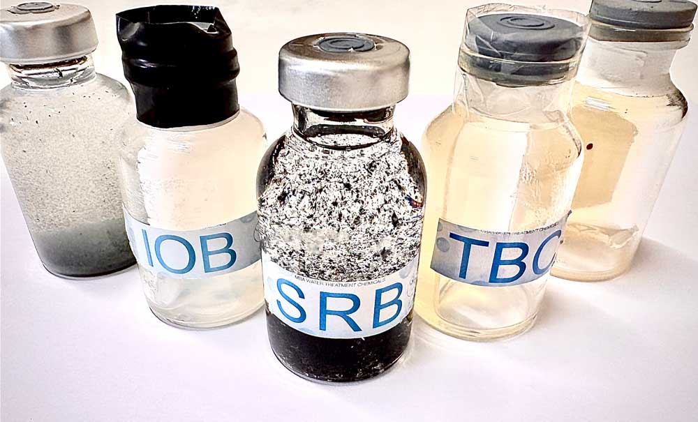 Corrosion and Coating Laboratory 3